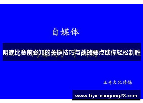 明晚比赛前必知的关键技巧与战略要点助你轻松制胜